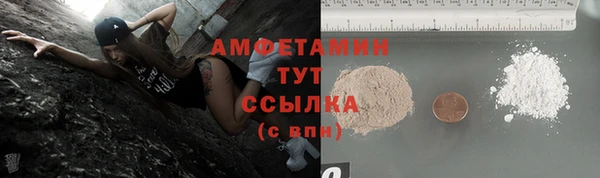 амф Вяземский