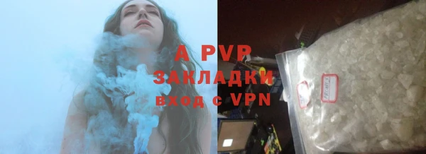 амф Вяземский