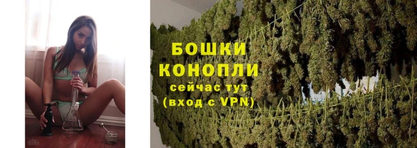 амф Вяземский