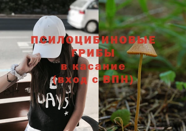 прущие крисы Вязьма