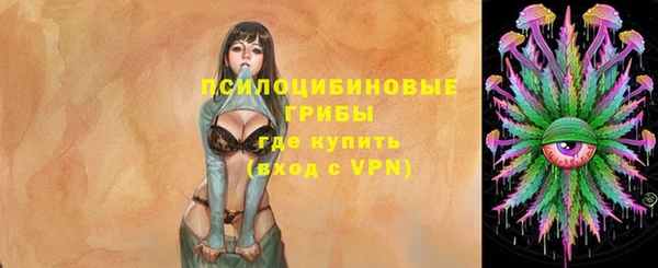 прущие крисы Вязьма