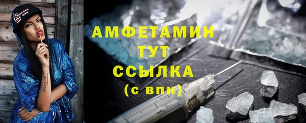 амф Вяземский