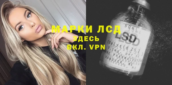 амф Вяземский