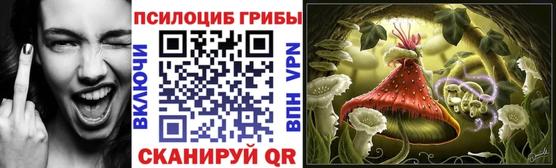 Псилоцибиновые грибы Magic Shrooms  Купить закладки  Чухлома 